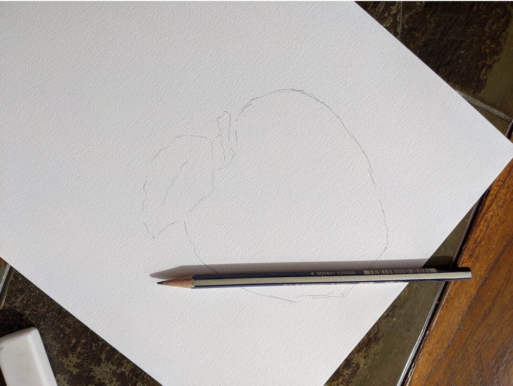 Drawing an apple - step 1 - Amarie Lange Studio