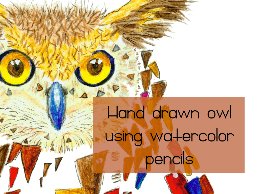 Amarie Lange Studio Watercolor Owl