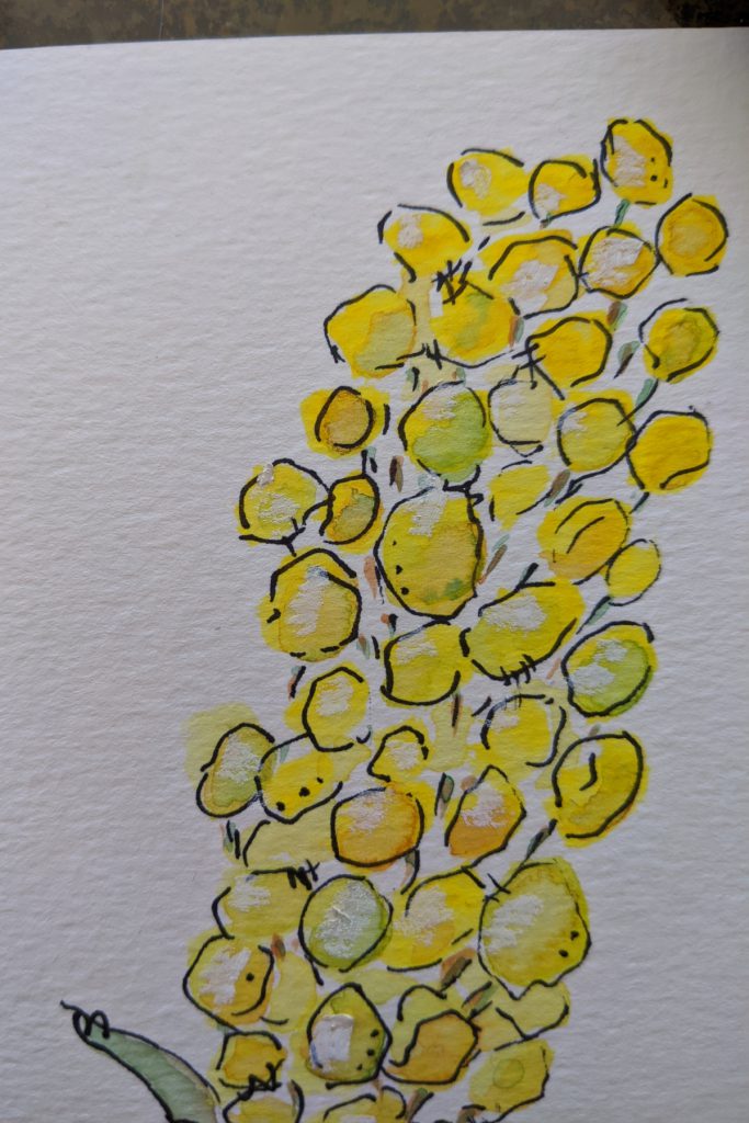 Amarie Lange Studio - detailing the watercolor yellow flower 3