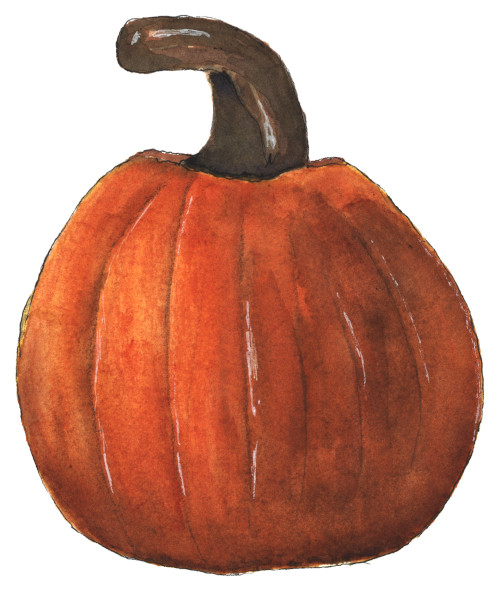 Watercolor Pumpkin Clipart