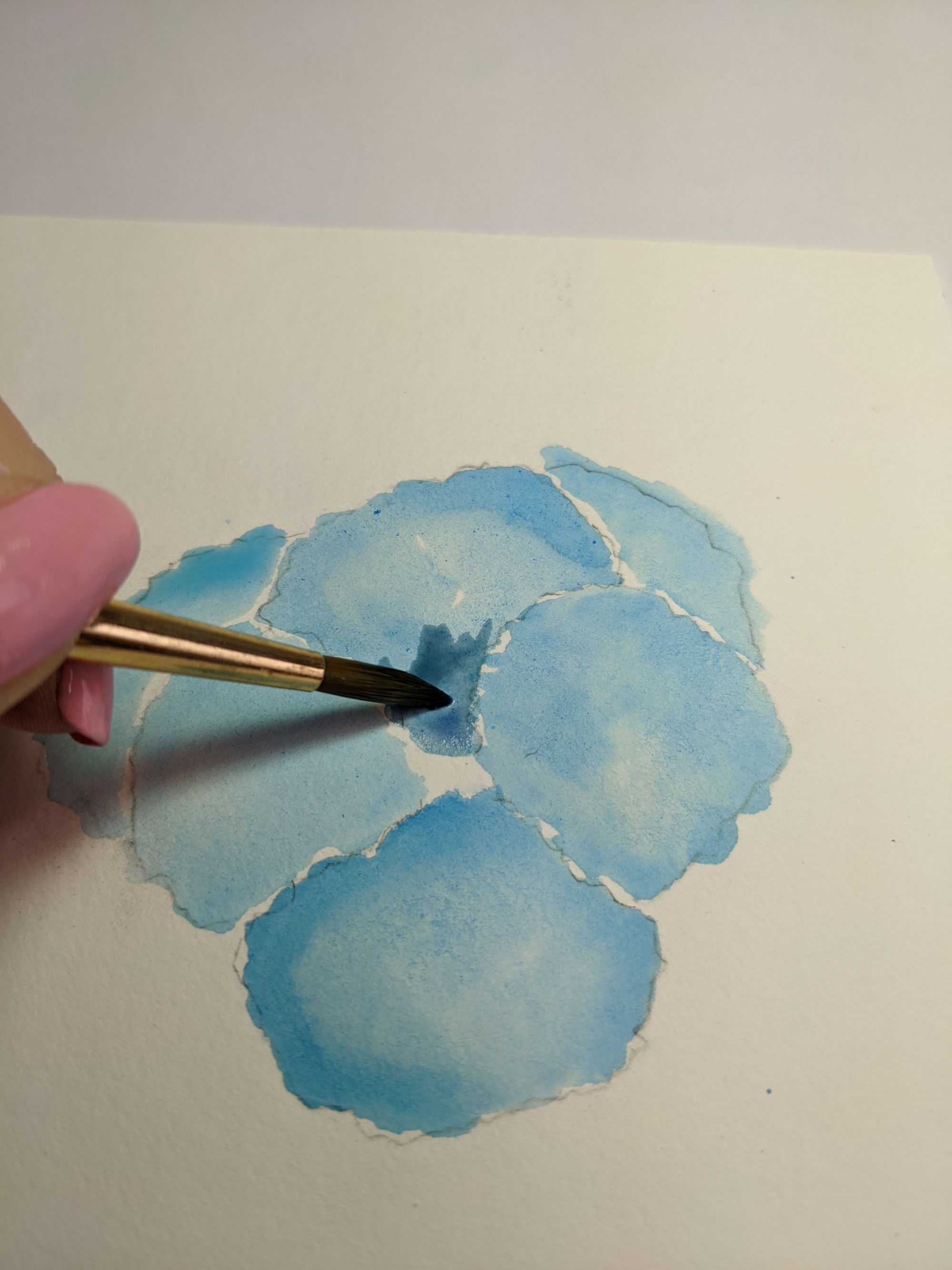 1st layer of blue watercolor on a flower painting