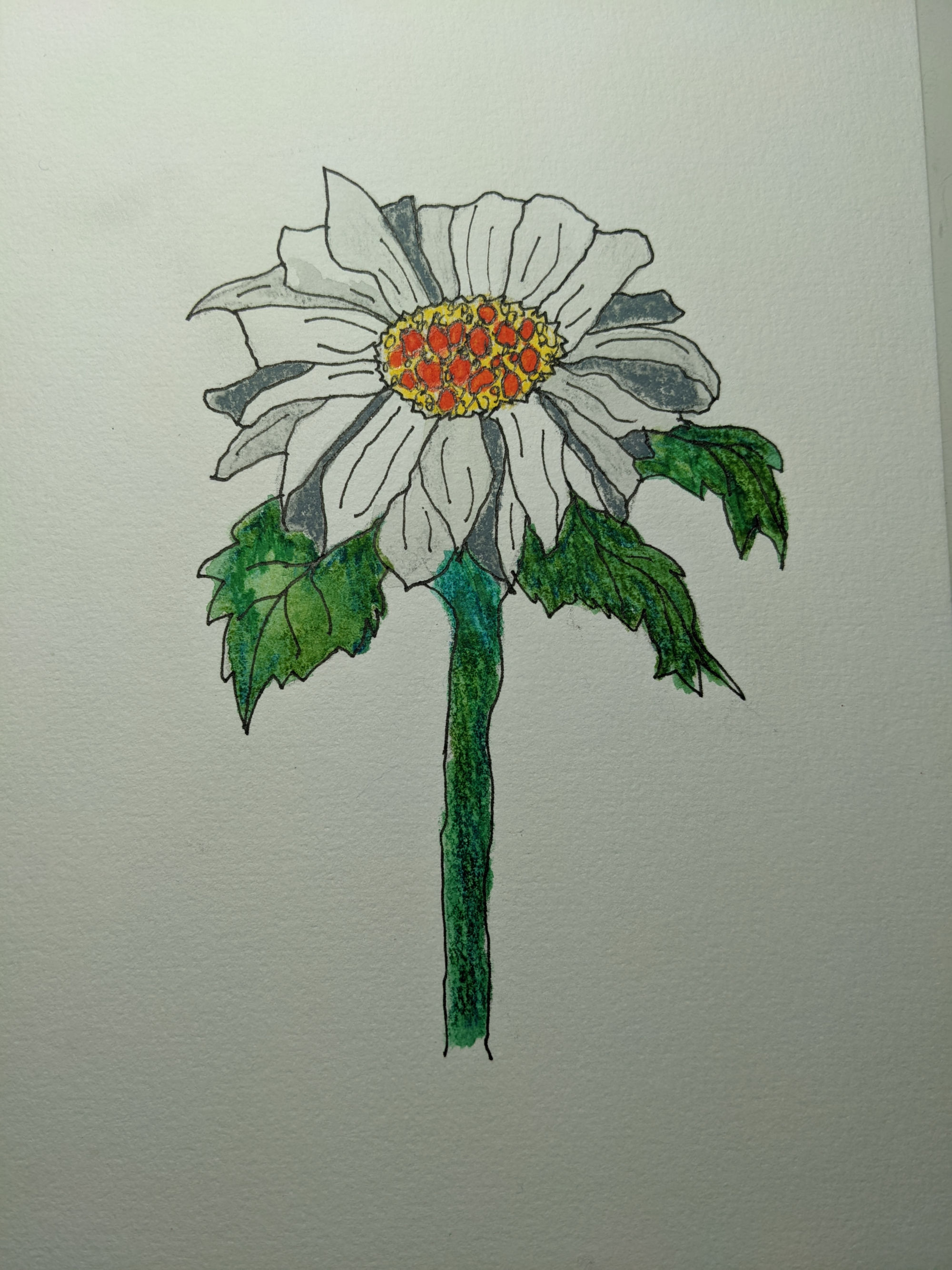abstract flower made with watercolor pencils & ink