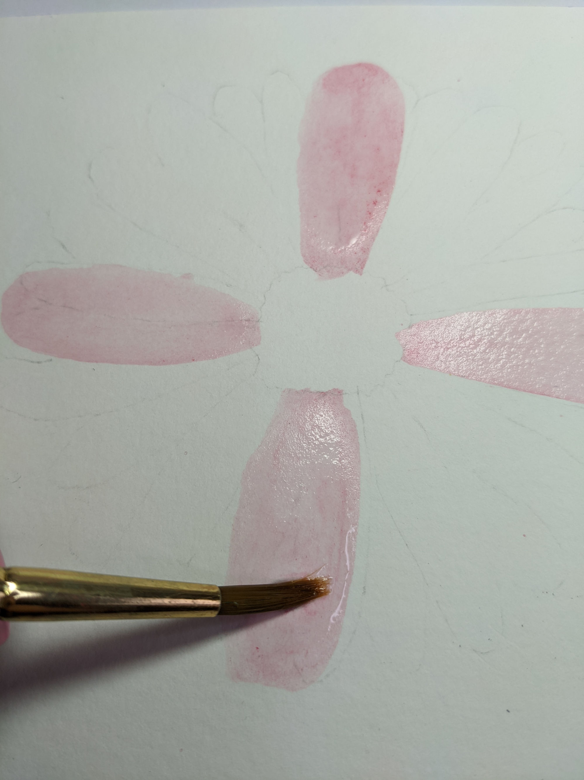 1st step of transparent pink watercolor tutorial