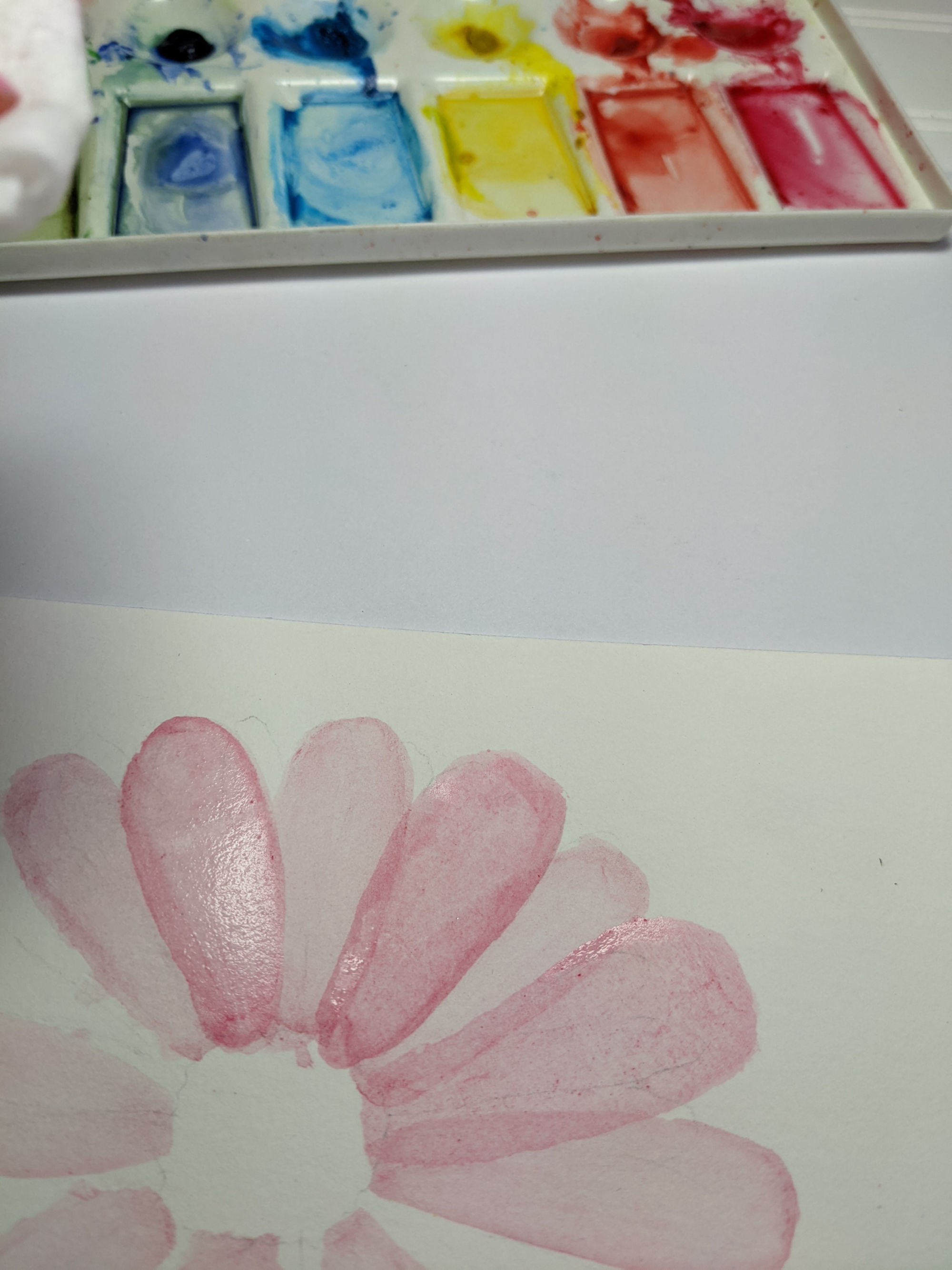 2nd step of transparent pink watercolor flower lesson