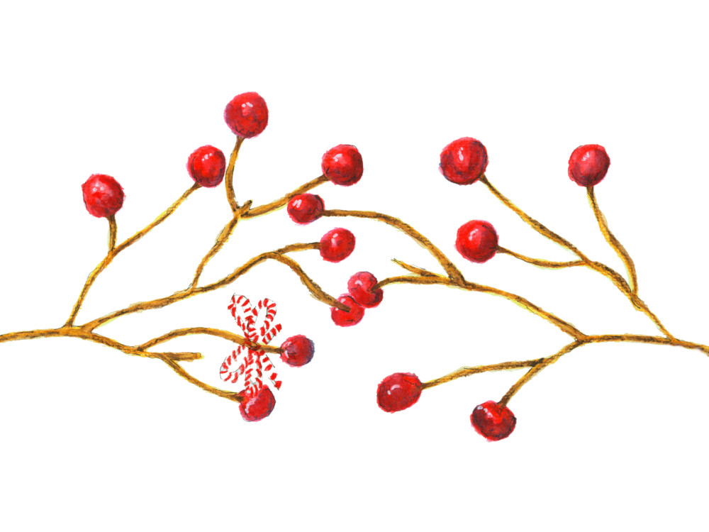 Watercolor Red Christmas Berries