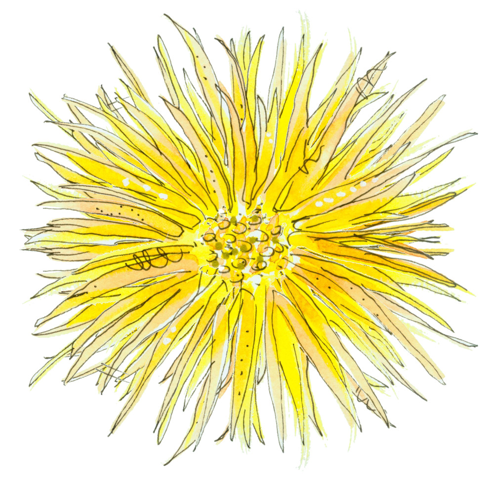 yellow watercolor flower