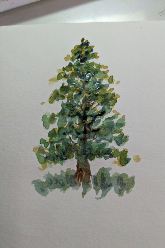 Watercolor Pine Tree