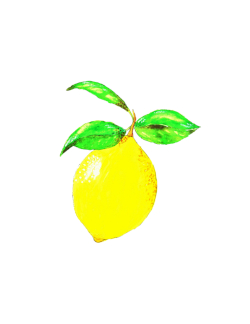 Farmhouse Style Free Lemon Printable
