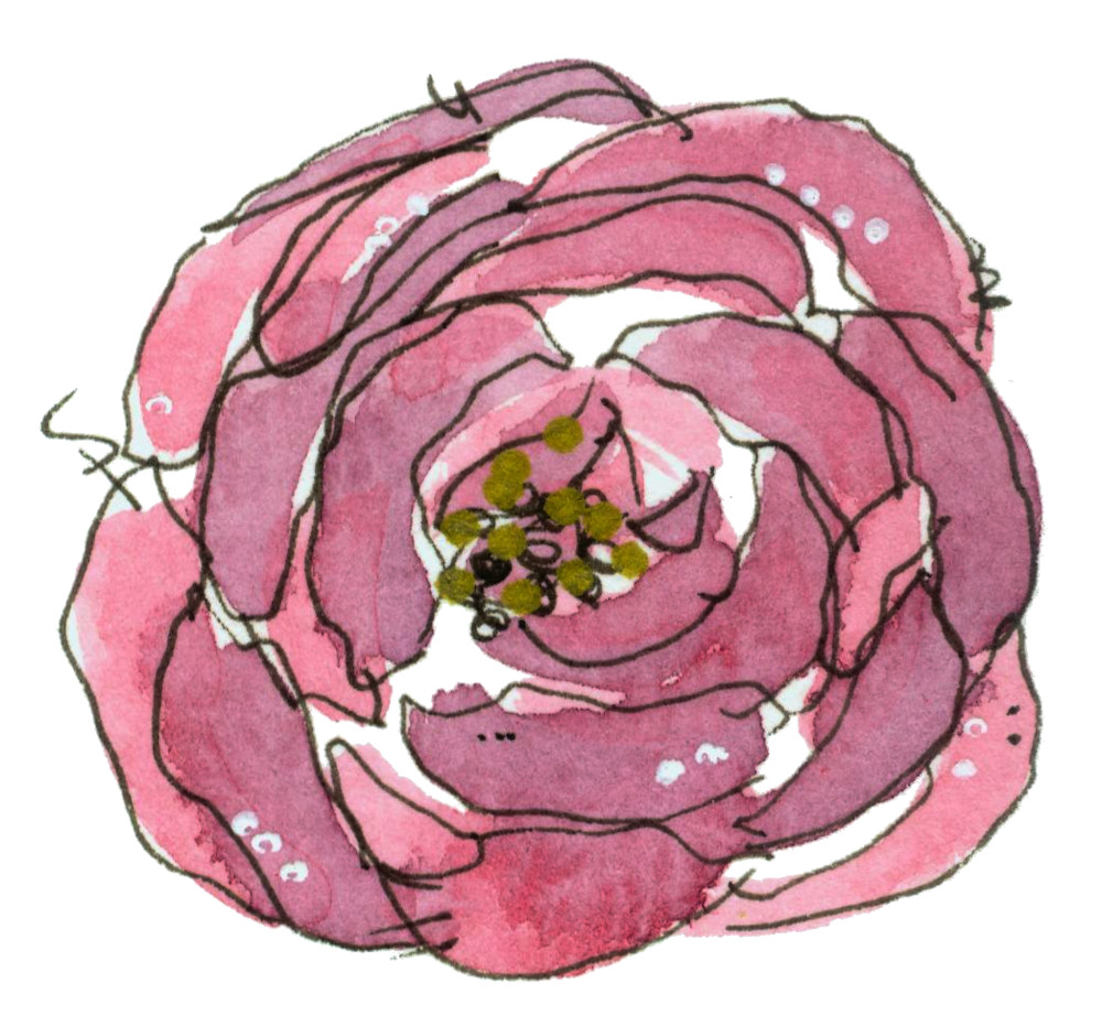 Pink Watercolor Whimsical Rose
