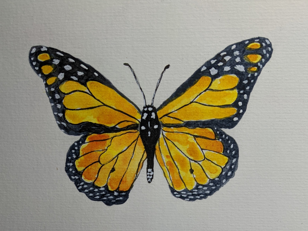 Simple Watercolor Butterfly