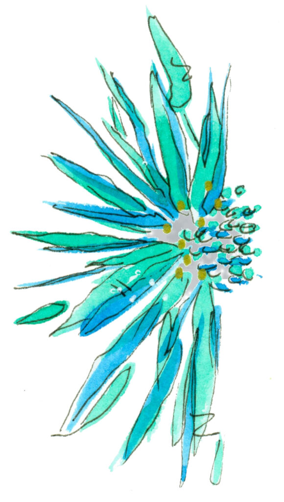 Spikey Blue Flower in Watercolor