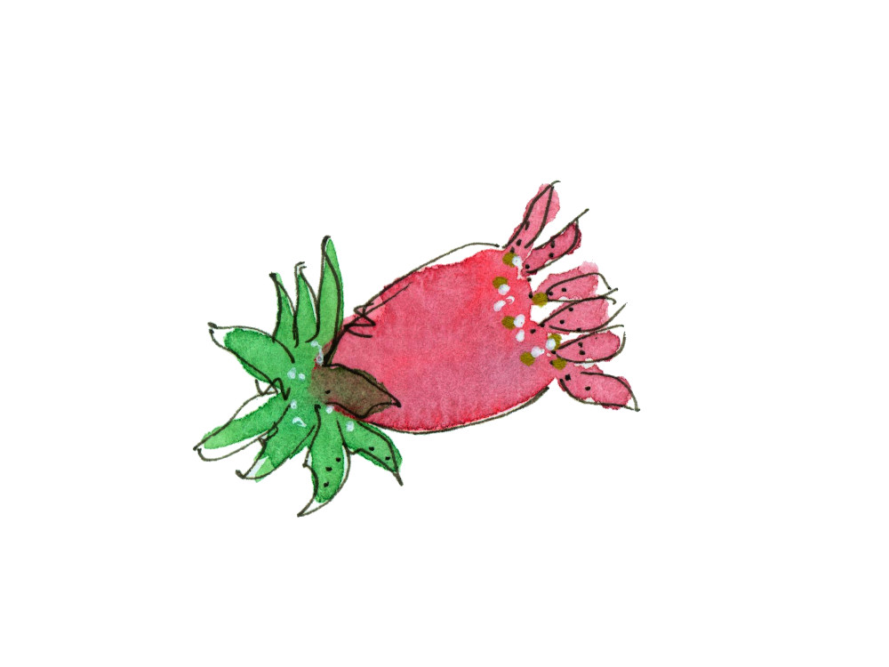 Watercolor Whimsical Red Flower Bud