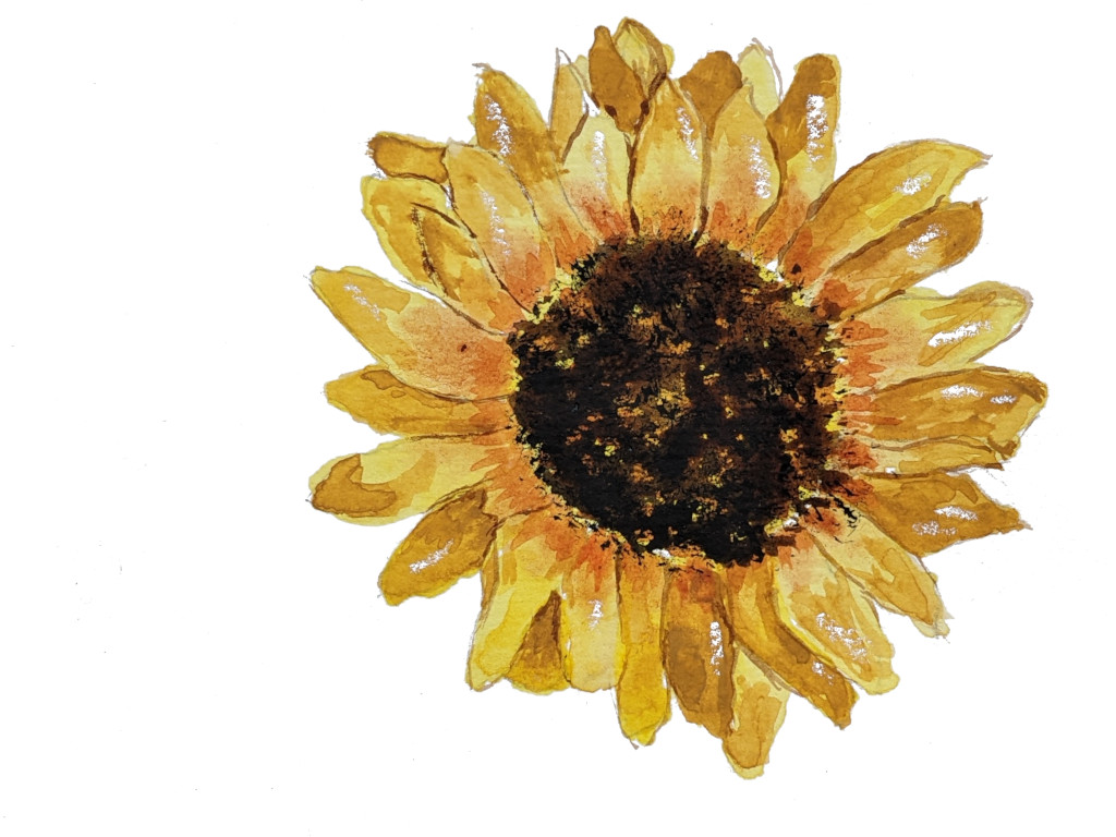 Watercolor Sunflower