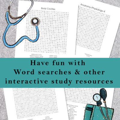 High School Anatomy and Physiology Worksheets PDF – Word Searches
